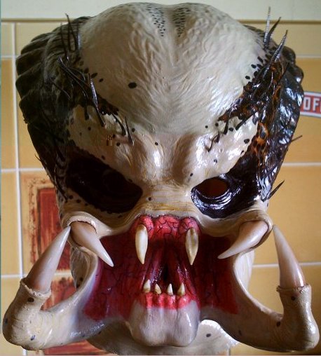 PJM mask
