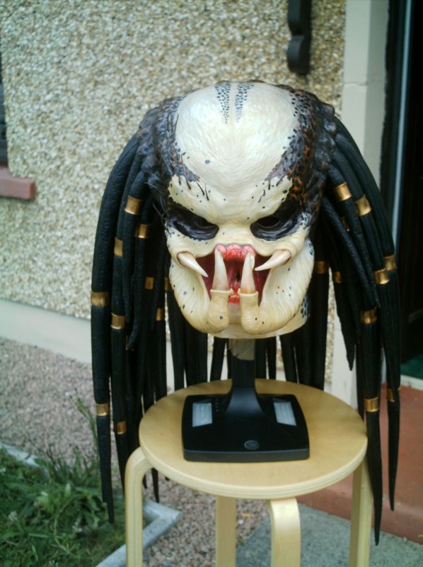 PJM Mask with Dreds